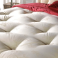 Luxury Gold Pocket Mattress
